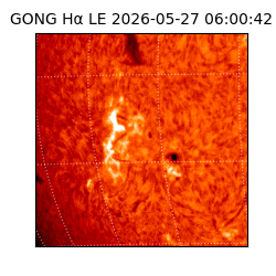 gong - 2026-05-27T06:00:42