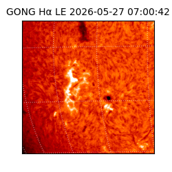 gong - 2026-05-27T07:00:42