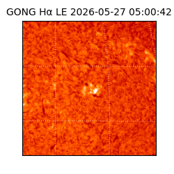 gong - 2026-05-27T05:00:42