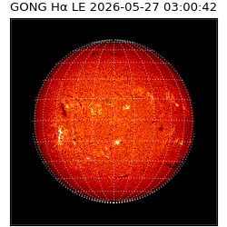 gong - 2026-05-27T03:00:42