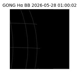 gong - 2026-05-28T01:00:02