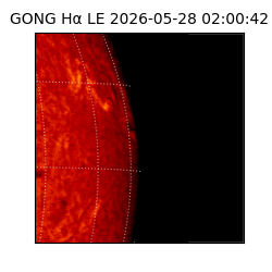 gong - 2026-05-28T02:00:42