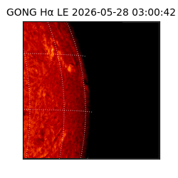 gong - 2026-05-28T03:00:42
