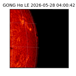 gong - 2026-05-28T04:00:42