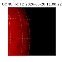 gong - 2026-05-28T11:00:22