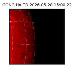gong - 2026-05-28T15:00:22