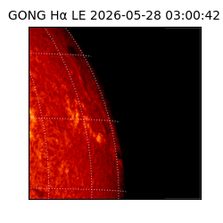 gong - 2026-05-28T03:00:42