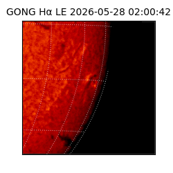gong - 2026-05-28T02:00:42