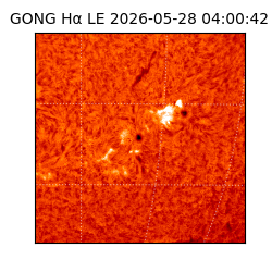 gong - 2026-05-28T04:00:42
