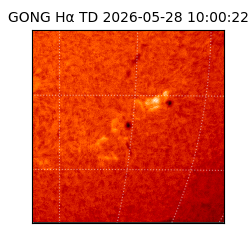 gong - 2026-05-28T10:00:22