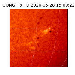 gong - 2026-05-28T15:00:22