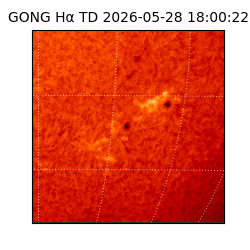 gong - 2026-05-28T18:00:22