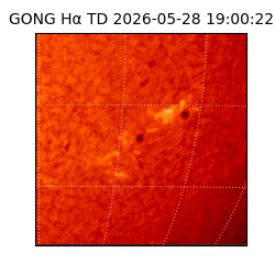 gong - 2026-05-28T19:00:22