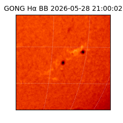 gong - 2026-05-28T21:00:02