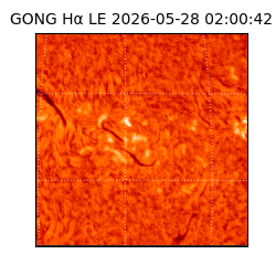 gong - 2026-05-28T02:00:42