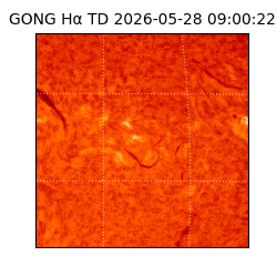 gong - 2026-05-28T09:00:22
