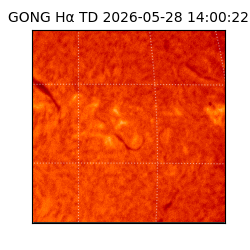 gong - 2026-05-28T14:00:22