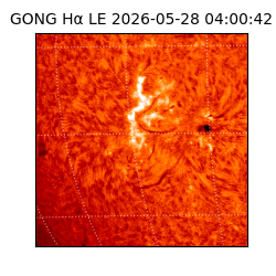 gong - 2026-05-28T04:00:42