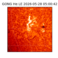 gong - 2026-05-28T05:00:42