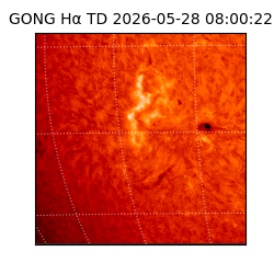 gong - 2026-05-28T08:00:22