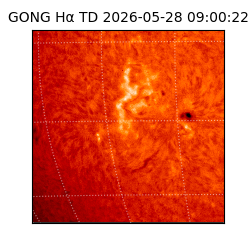 gong - 2026-05-28T09:00:22