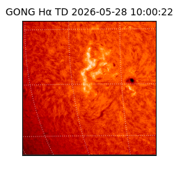 gong - 2026-05-28T10:00:22