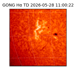 gong - 2026-05-28T11:00:22