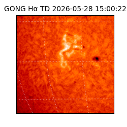 gong - 2026-05-28T15:00:22