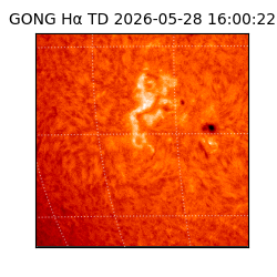 gong - 2026-05-28T16:00:22