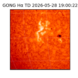 gong - 2026-05-28T19:00:22