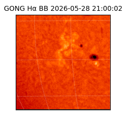 gong - 2026-05-28T21:00:02
