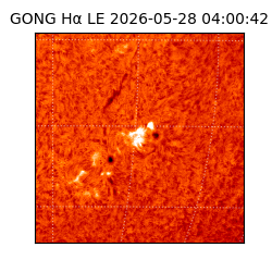 gong - 2026-05-28T04:00:42