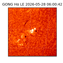 gong - 2026-05-28T06:00:42