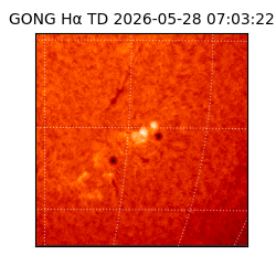 gong - 2026-05-28T07:03:22