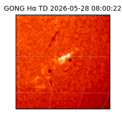 gong - 2026-05-28T08:00:22