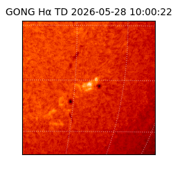gong - 2026-05-28T10:00:22