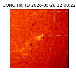 gong - 2026-05-28T12:00:22