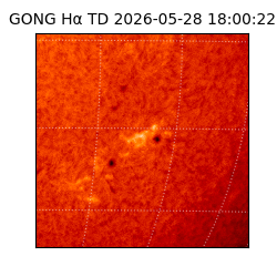 gong - 2026-05-28T18:00:22