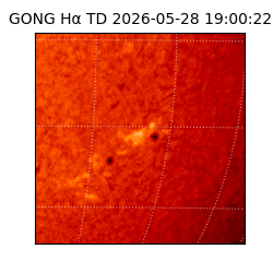gong - 2026-05-28T19:00:22