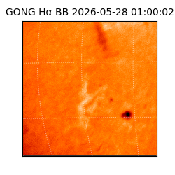 gong - 2026-05-28T01:00:02