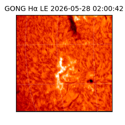 gong - 2026-05-28T02:00:42
