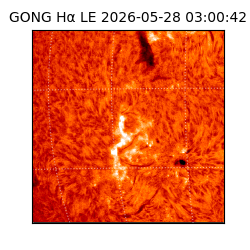gong - 2026-05-28T03:00:42
