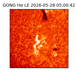 gong - 2026-05-28T05:00:42