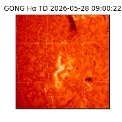 gong - 2026-05-28T09:00:22