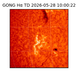 gong - 2026-05-28T10:00:22