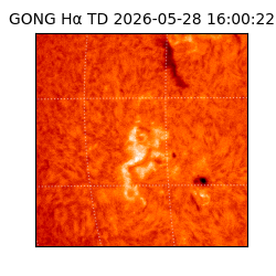 gong - 2026-05-28T16:00:22