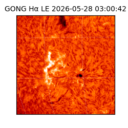 gong - 2026-05-28T03:00:42