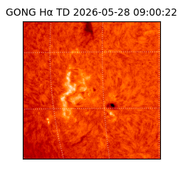 gong - 2026-05-28T09:00:22