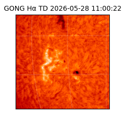 gong - 2026-05-28T11:00:22