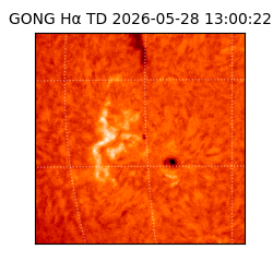 gong - 2026-05-28T13:00:22